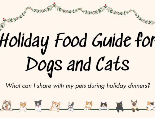 Keep Your Pets Safe This Holiday Season!