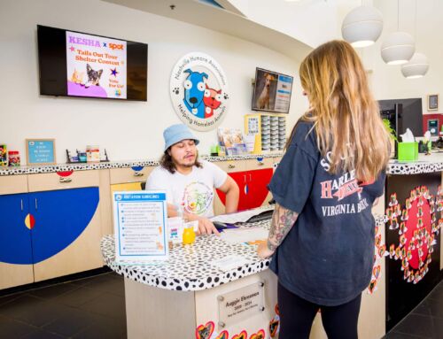 Nashville Humane Is Now Open Later on Thursdays