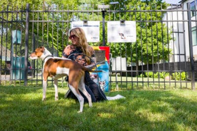Home - Nashville Humane Association