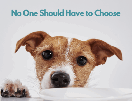 No One Should Have to Choose