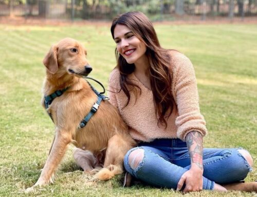 A Letter From Our Director