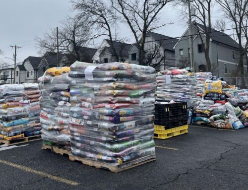 Nashville Humane’s Disaster Response