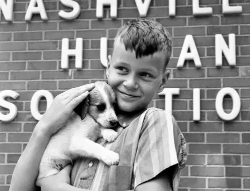 Nashville Humane Turns 80!