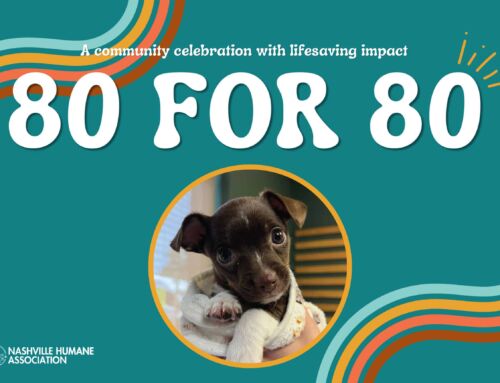 Nashville Humane’s Birthday Wish Came True!