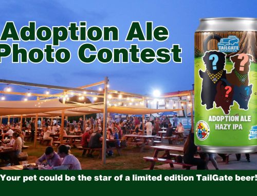 Adoption Ale Celebrates 5 Years!